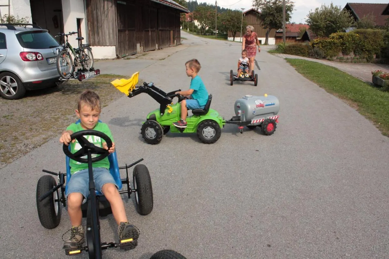 Appartamento Ferienhof Naderhirn - Bauernhof Wegscheid